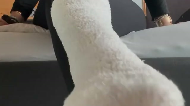 Vignette vidéo